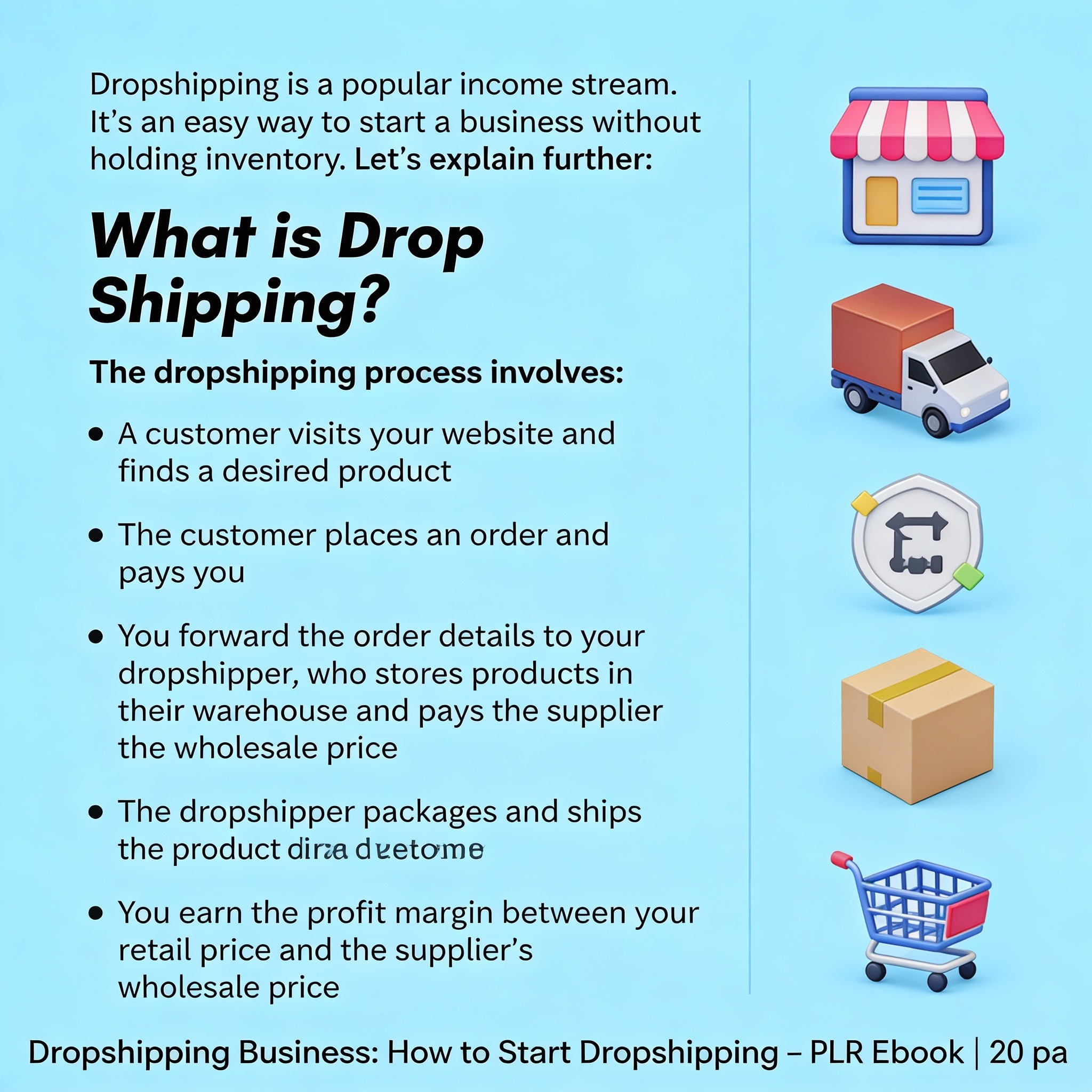Starting a Dropshipping Business: A Complete PLR Guide - Image 3